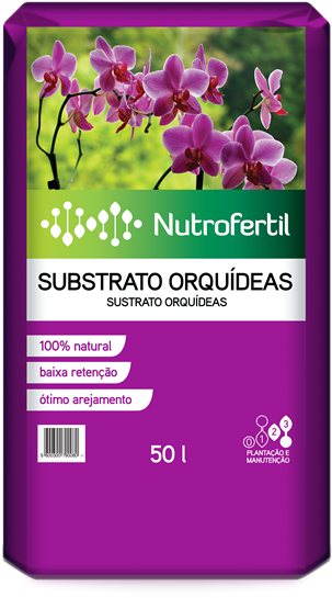 Solicite-nos Um Orçamento - Moth Orchid (484x600), Png Download
