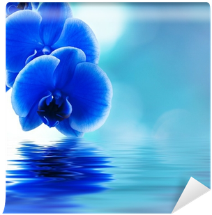 Orchid Beautiful Flowers (400x400), Png Download