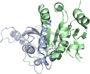 2y9m 4bwf 2y9p - Cartoon (640x480), Png Download