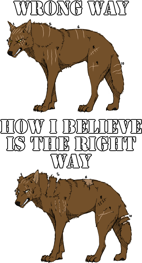 Drawn Scar Anime Face - Wolf Cliches (646x1142), Png Download