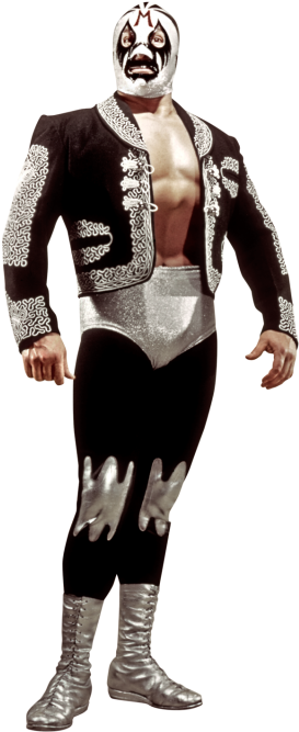 Mil Máscaras - Mil Mascaras (320x728), Png Download