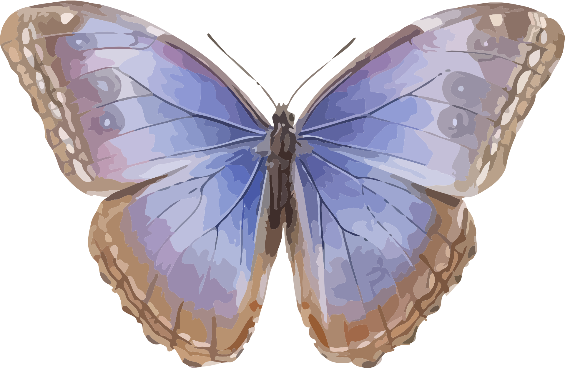 Butterfly With Blue Wings - Butterfly Greeting Card (1920x1251), Png Download