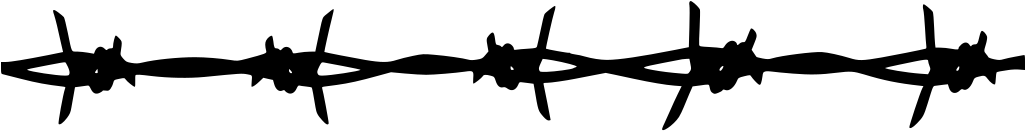 Download Png - Portable Network Graphics (1024x290), Png Download