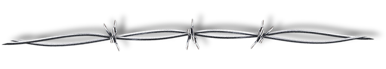 Boom And That's All Folks Who Needs Anymore Than That - Bracelet (1299x284), Png Download