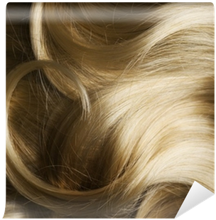 Hair (400x400), Png Download