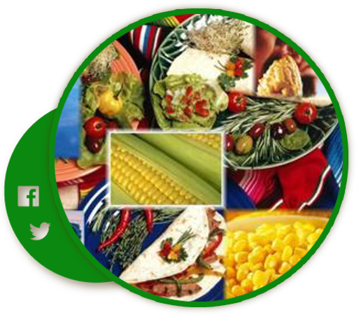 Maiz - Dish (516x453), Png Download