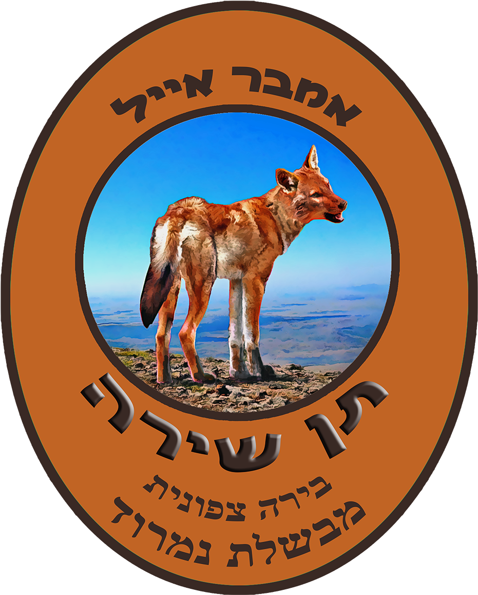 Singing Jackal Amber Ale - Gesangjackal-bernstein-ale Grußkarte (983x1200), Png Download