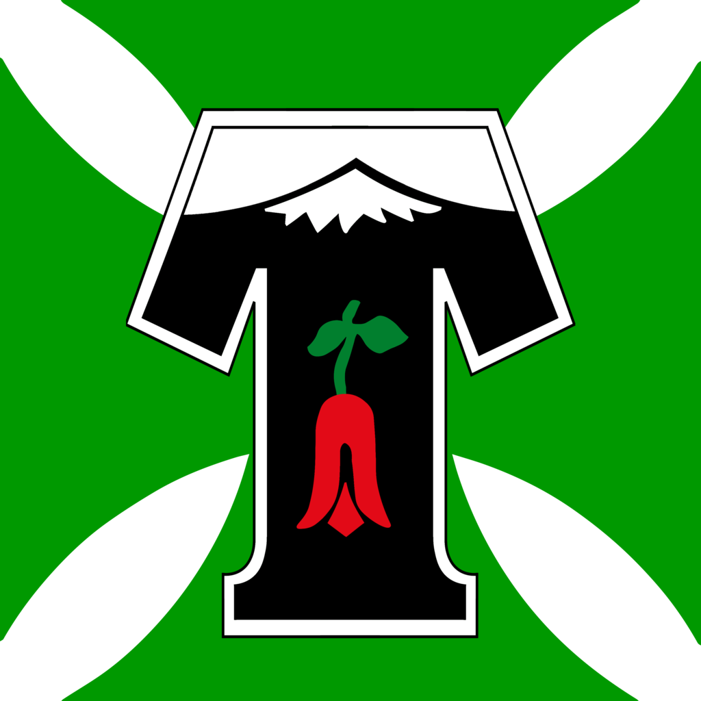 Temuco - Deportes Temuco Insignia (1024x1024), Png Download