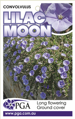 Find A Supplier - Wall (300x400), Png Download