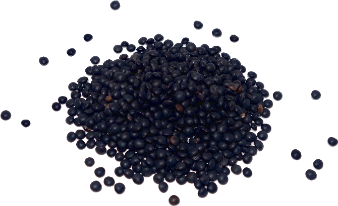 Lenteja-caviar - Muros, A Coruña (800x450), Png Download