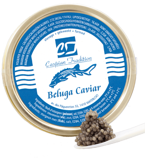 Beluga (482x539), Png Download