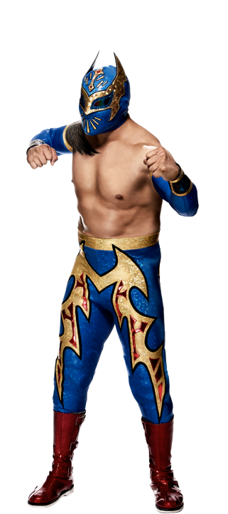 Sin Cara - Sin Cara Wwe (320x728), Png Download