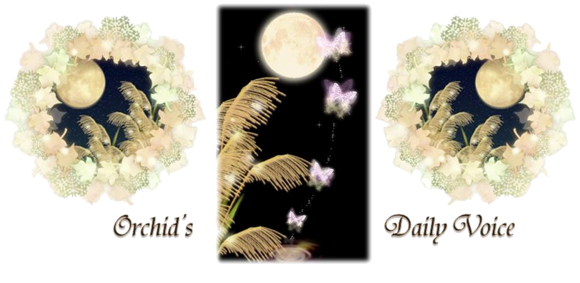 I've Already Posted About Harvest Moon And Super Moon - Floral Design (847x413), Png Download