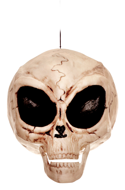 Alien Skull - Crazy Bonez Alien Skull By Crazy Bonez (518x650), Png Download