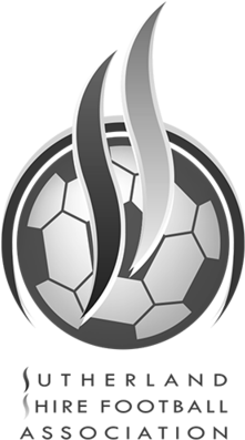 Sutherland Shire Football Association (480x400), Png Download