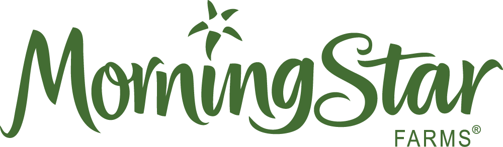 The Crispy Texture Of The Morning Star Farms Buffalo - Morning Star Logo (1000x293), Png Download