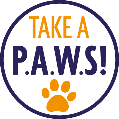 Anyone Can Use The Puppy Contract - Mckenna I Can Make You (383x383), Png Download