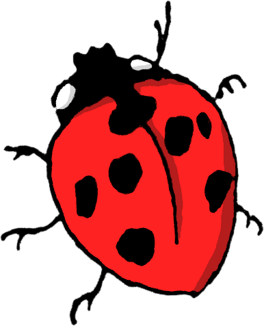 Animals/ Insects/ Cartoon/ Ladybug-2 - Animals Insect Cartoon Png (386x476), Png Download
