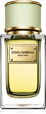 Velvet Pure, Fresh Floral Perfume For Women - Dolce Gabbana Perfumes Velvet (370x515), Png Download