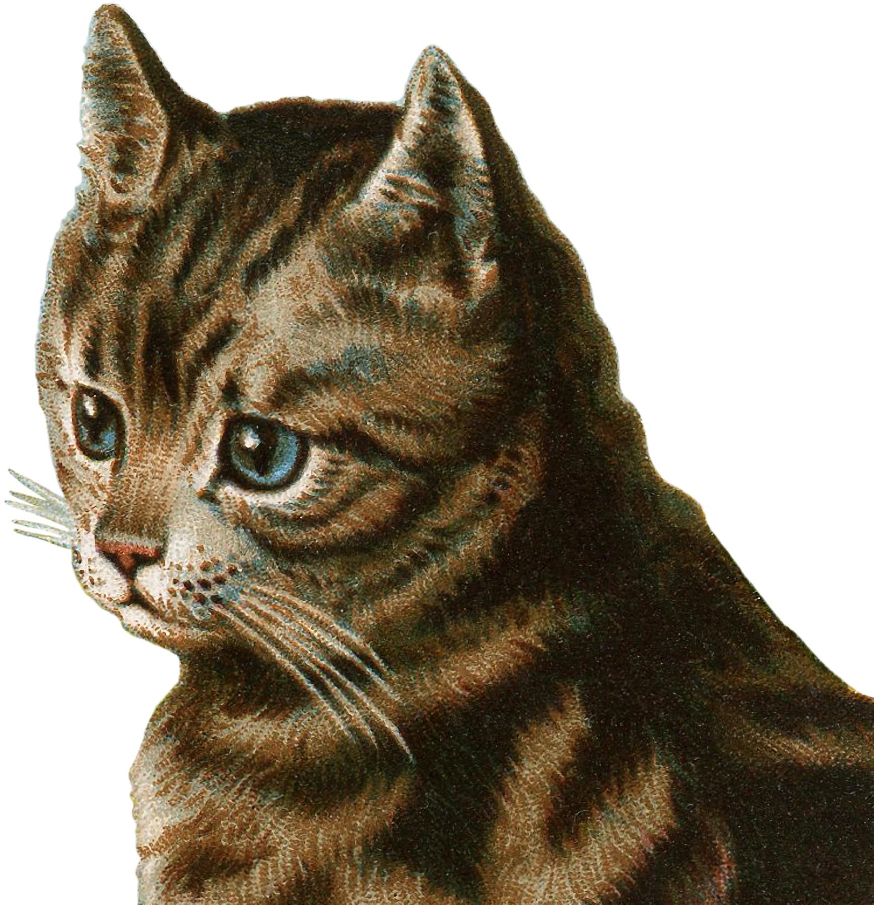 18 Tabby Side Graphicsfairy - 3drose Llc 8 X 8 X 0.25 Inches Mouse Pad, Cute Grey (1738x1800), Png Download