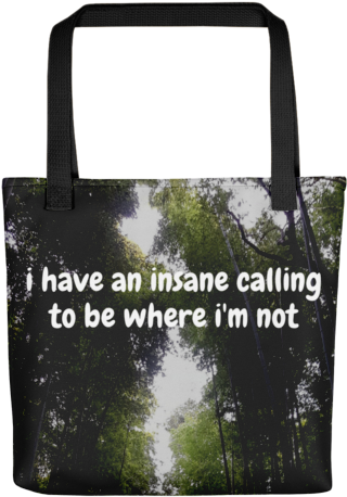 Insane Calling Tote Bag - Shaun And Butch's Adventure [book] (500x500), Png Download
