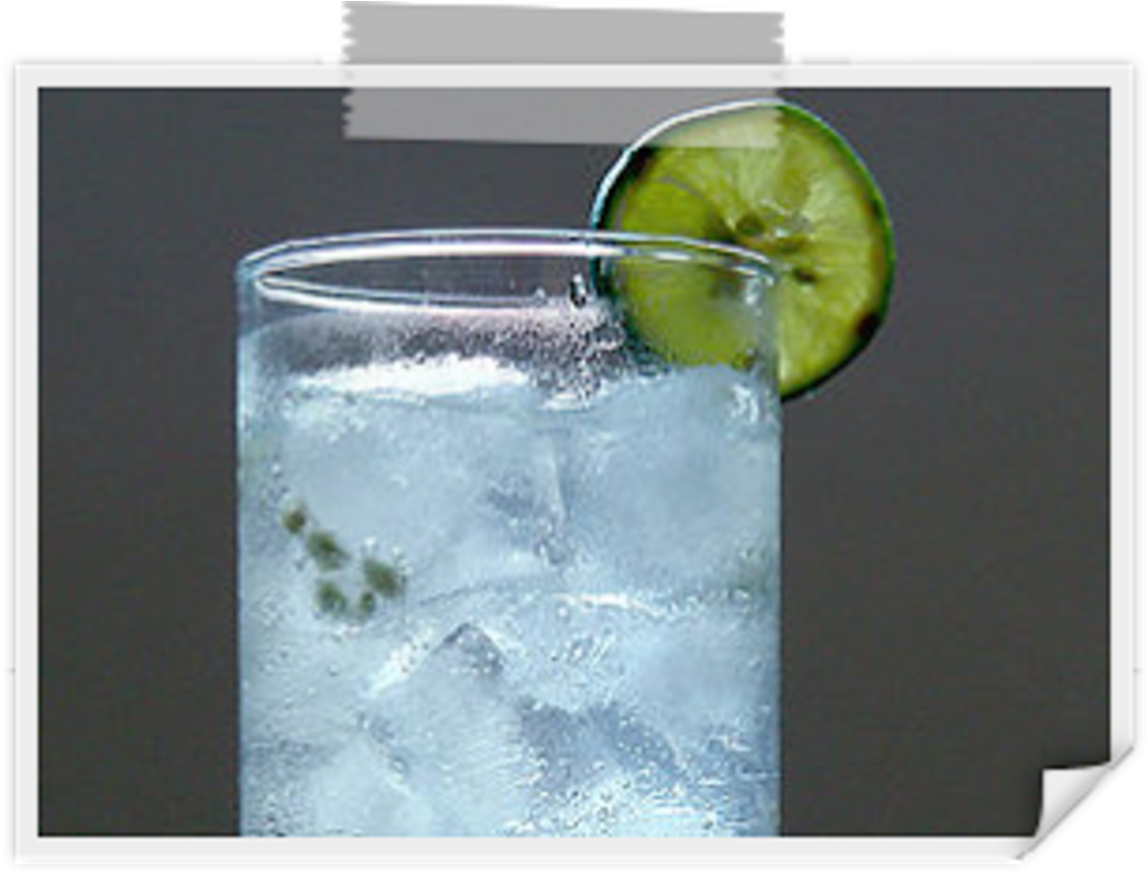 Gin - Gin N Tonic (1200x881), Png Download