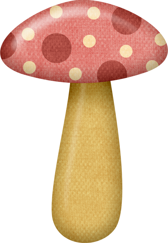Lliella Bcute Mushroom1 - Portable Network Graphics (538x777), Png Download