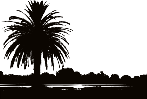 Silhouette Landscape Photography Landscape Design Sunset - Sunset Silhouette Palm Trees (505x340), Png Download