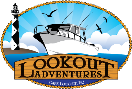 Clipart Info - Boat Tour Logo (459x314), Png Download