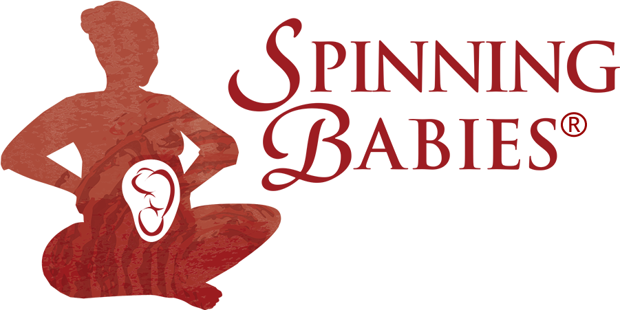 Spinning Babies Logo Red Transparent - Spinning Babies (900x517), Png Download