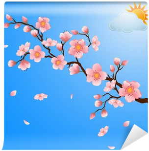 Blooming Cherry Blossom With Falling Petals (400x400), Png Download