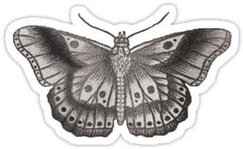 Harry Styles' Butterfly Tattoo By Bohemianmermaid - Tatuajes De Harry Styles (375x360), Png Download