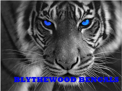 Eye Of The Bengal Tiger - Queenlink Full Pasted Diy Square Diamond Embroidery (500x300), Png Download