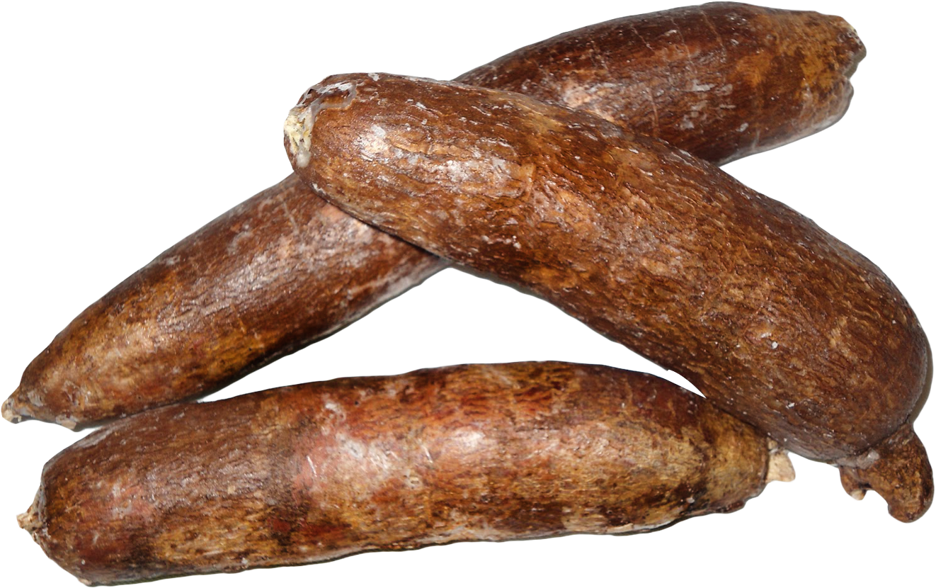 Cassava Png (1399x918), Png Download