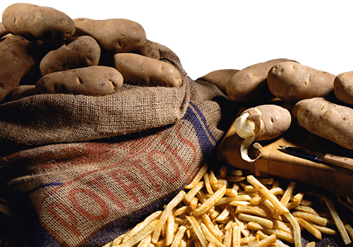 Our Headquarters At Rick Miles Produce Is Located In - French Fries (500x350), Png Download