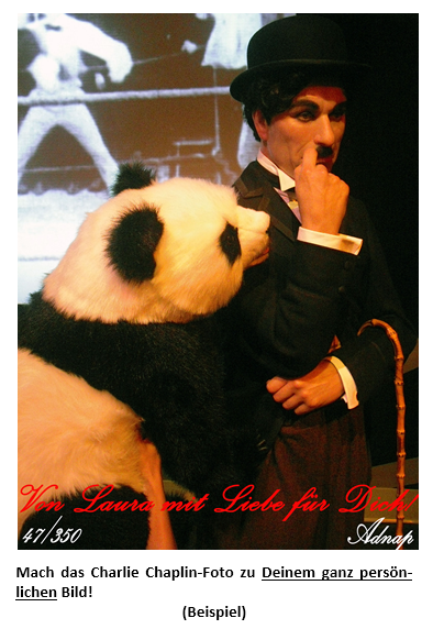 Promi-souvenirs - Panda (738x738), Png Download