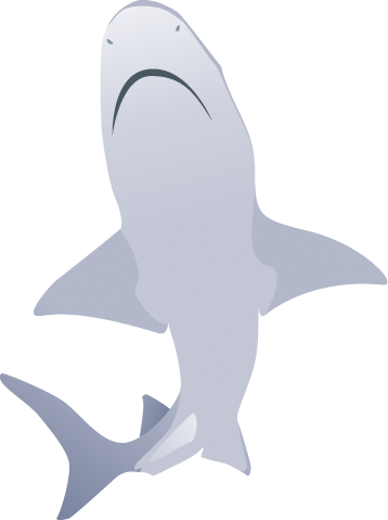Shark Cartoon Four - Shark Vector (358x479), Png Download