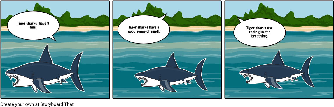 Tiger Shark - Yann Martel (1164x385), Png Download