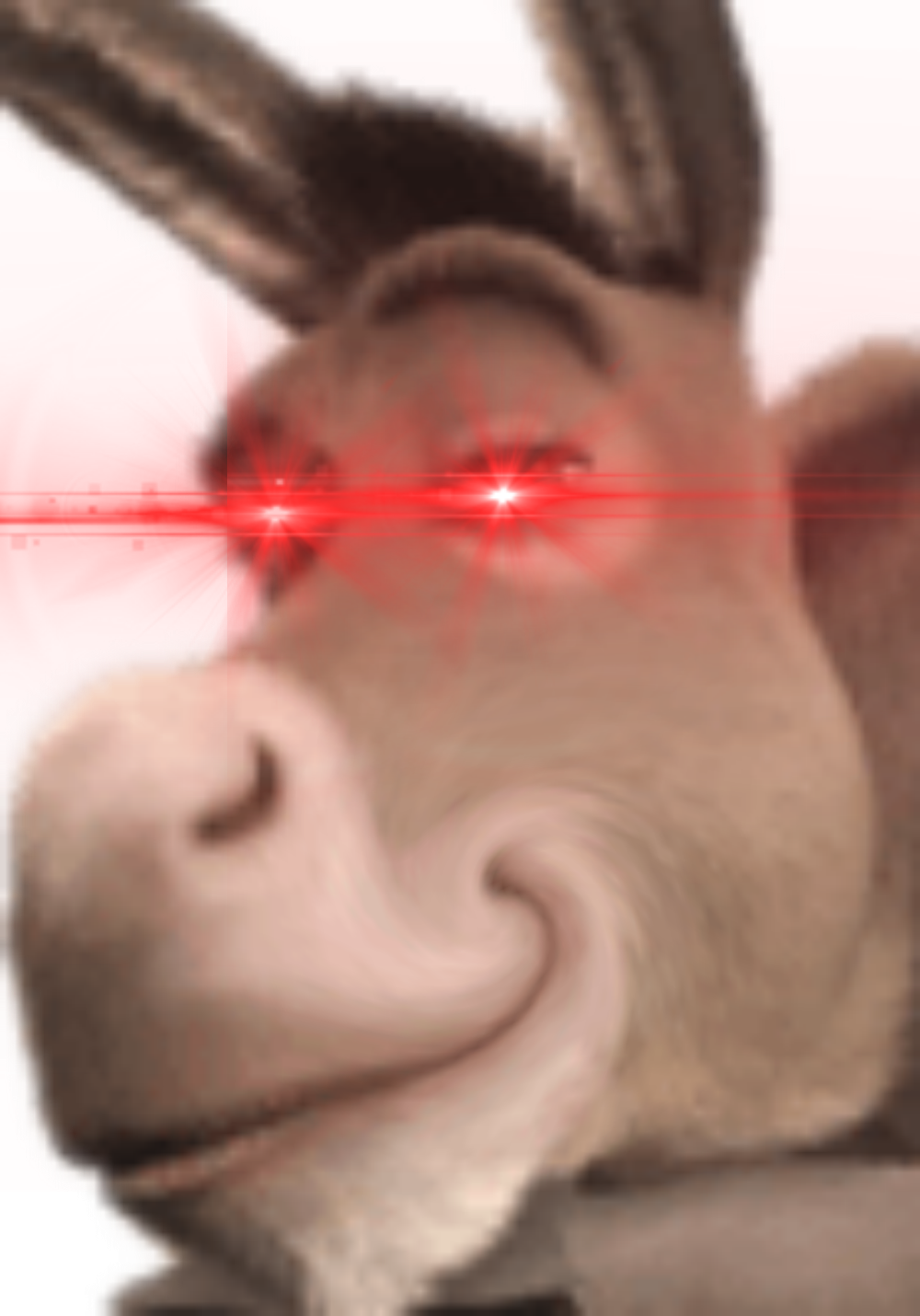 Jokewhen - Donkey (1000x1430), Png Download