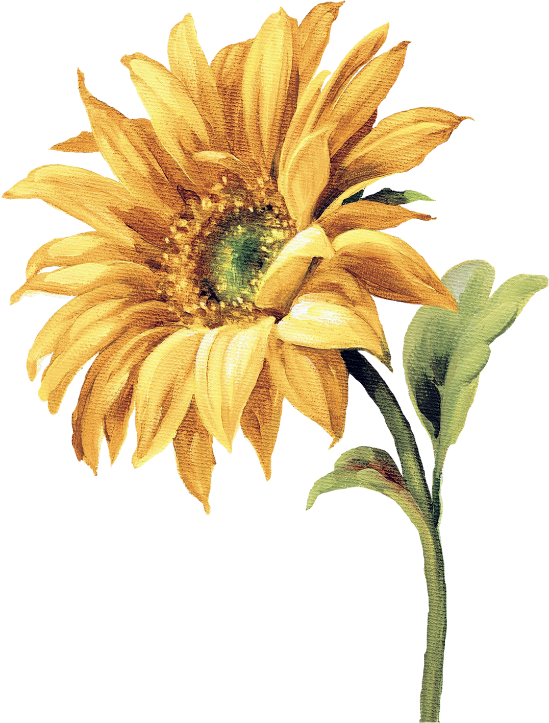 Watercolor Sunflower, Watercolor Flowers, Watercolor - Sun Flower Painting Png (1181x1600), Png Download