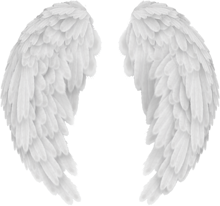 White Wings Png Picture - Baby Angel Wings Png (1280x904), Png Download