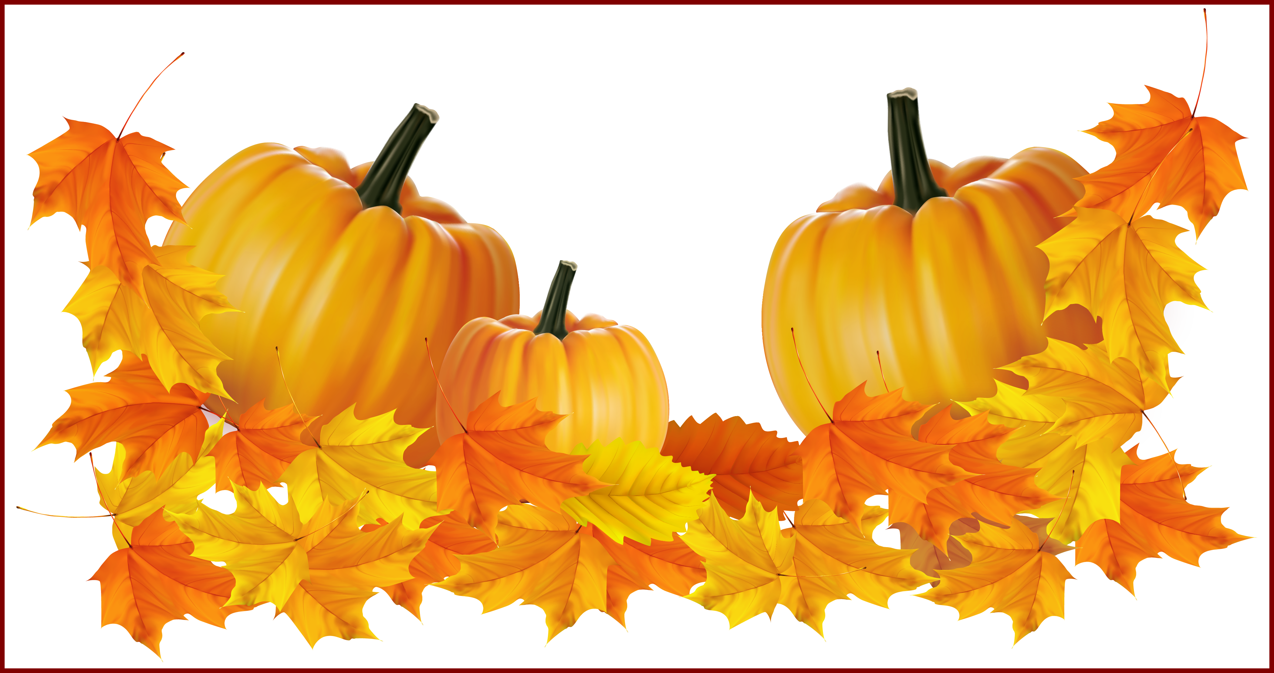 Incredible Transparent Thanksgiving Pumpkin Decor Clipart - Transparent Background Pumpkins Clip Art (4199x2219), Png Download