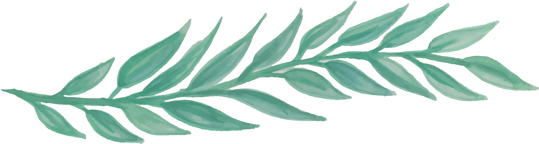 Picture - Free Greenery Watercolor Png (2000x500), Png Download