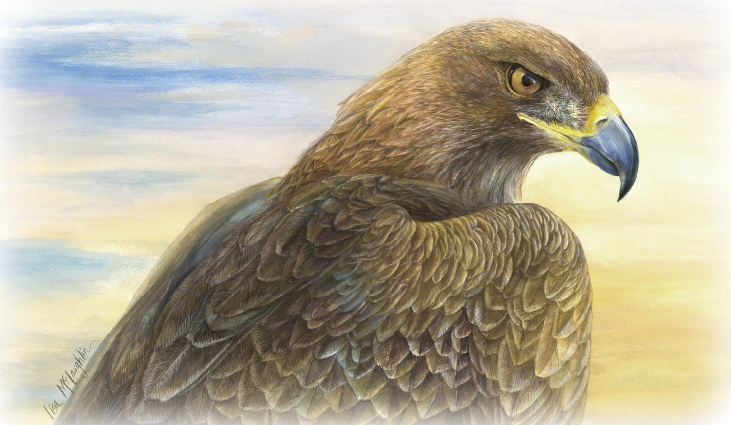Lisa Mclaughlin's Detailed Wildlife Watercolors - Desert Golden Eagle Journal (1500x889), Png Download