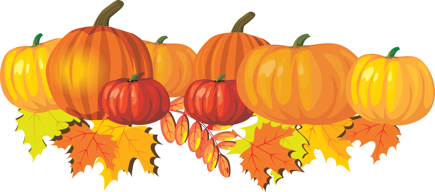 Free Pilgrim Clipart Images - Fall Clip Art (1851x818), Png Download