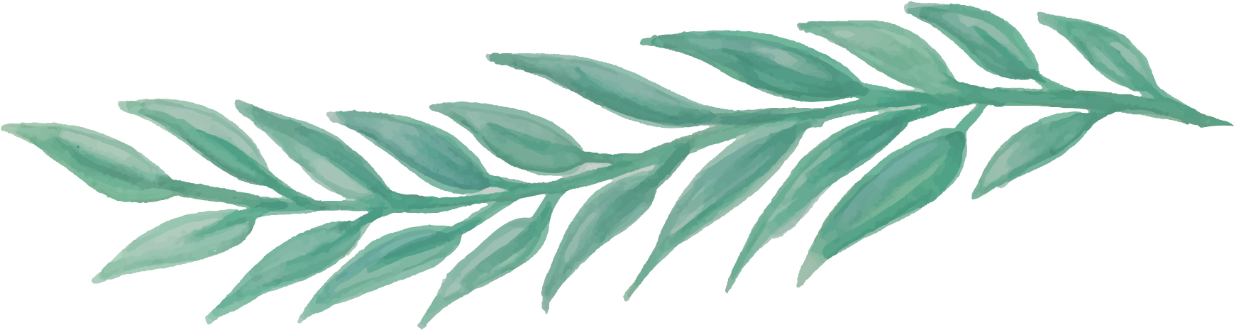 Picture - Watercolor Leaf Design Png (2000x500), Png Download
