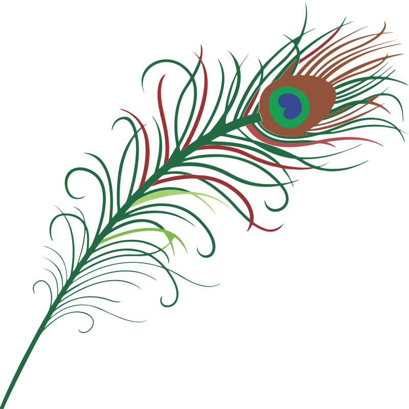 Peacock Design Vector Png (600x600), Png Download