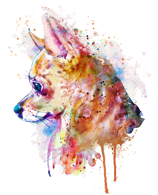 Bath Drawing Watercolor Clipart Black And White Download - Watercolor Chihuahua (549x700), Png Download