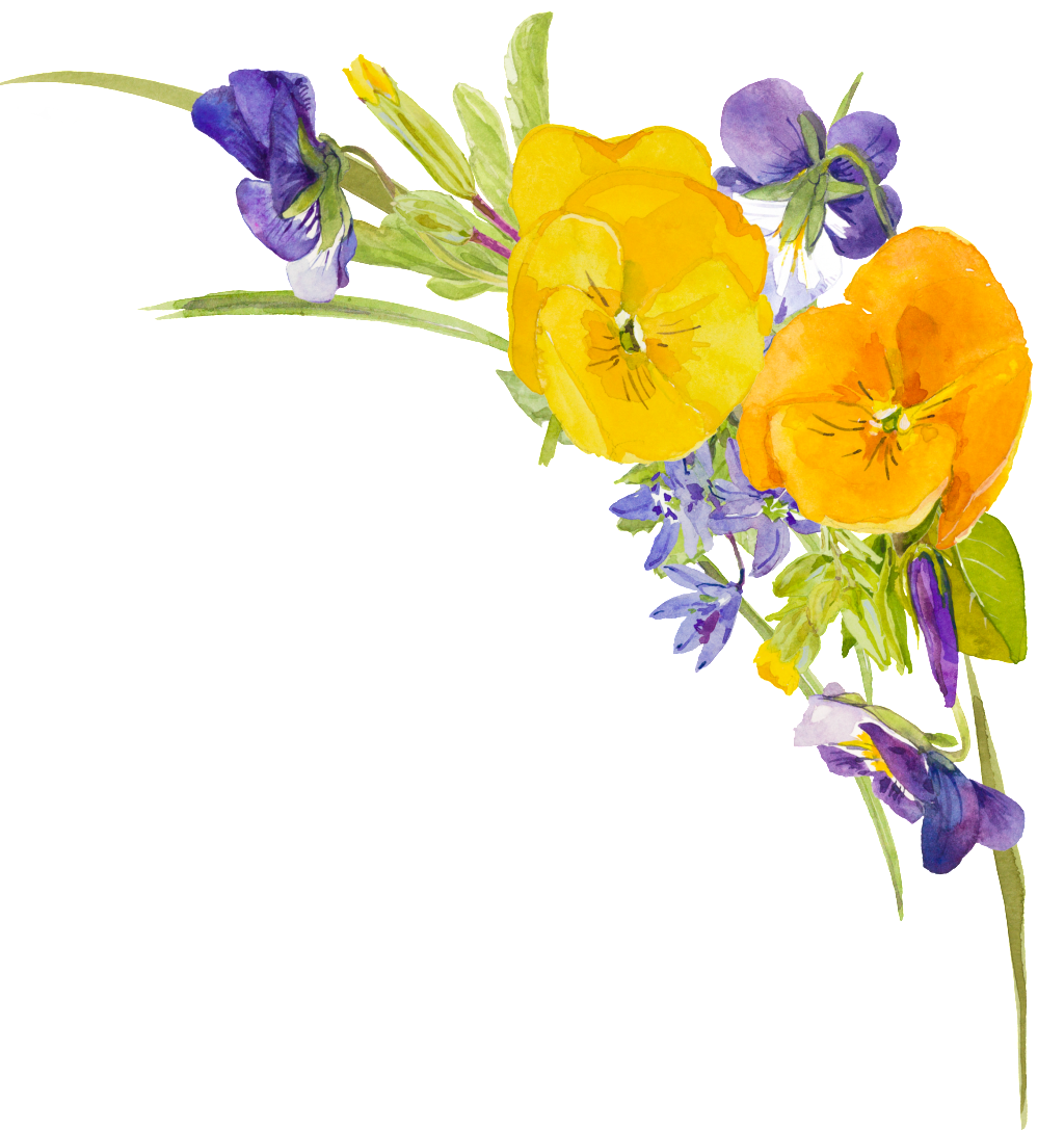 This Graphics Is Yellow Flower Plant Watercolor Hand - Watercolor Painting (1024x1088), Png Download