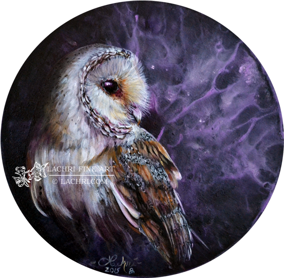 Barn Owl Round Painting - Owl Painting (600x587), Png Download